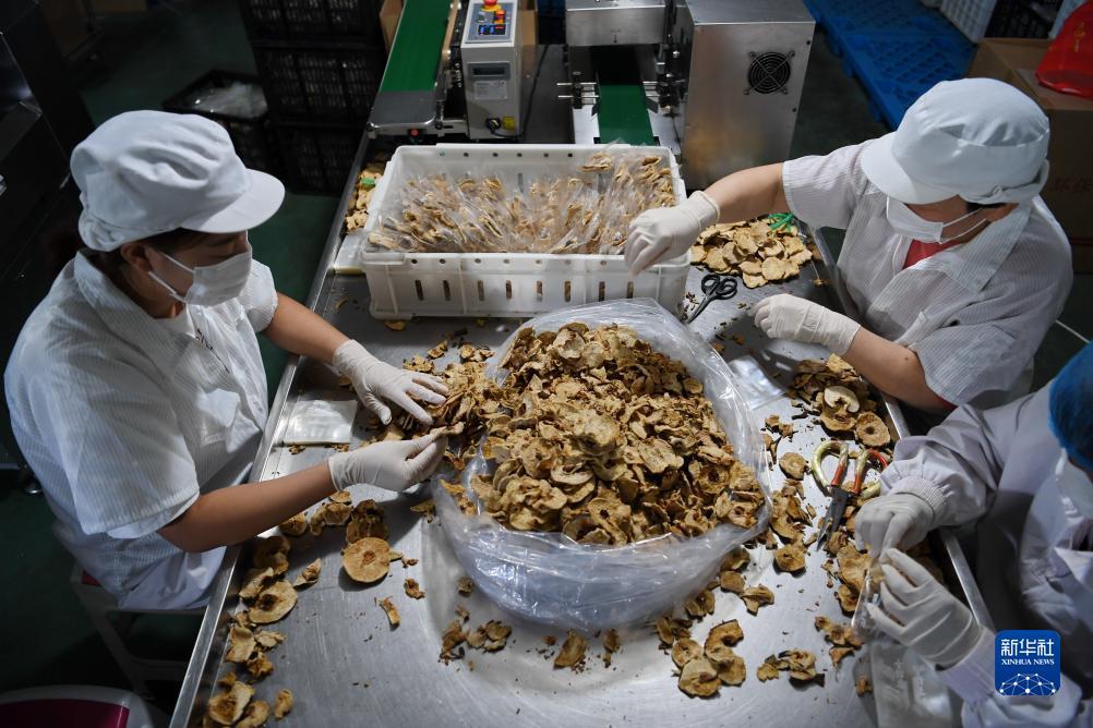 菲莫国际简介